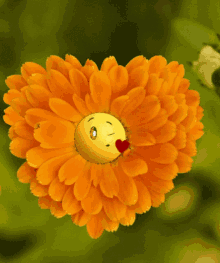 Flower Love You GIF - Flower Love You Blowing Kisses GIFs