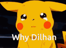 dilhan why