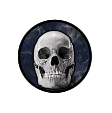 rock and roll rock and roll gif top hat human skull rock and roll emblem