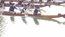 Dragon Boat Race GIF - Dragon Boat Race Paddle GIFs