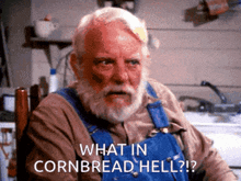 a man with a beard is sitting in a chair and saying what in cornbread hell
