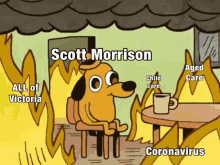 Scomo Scottmorrison GIF - Scomo Scottmorrison Scott GIFs