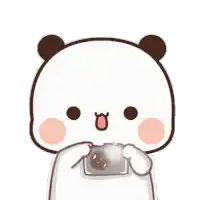 a cartoon panda is holding a camera in its hands .