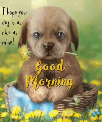 Good Morning Puppy GIF - Good Morning Puppy Cute - Discover ...