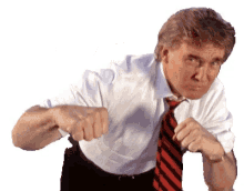 trump fighting stance punch
