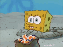 spongebob food eat eating tide pods