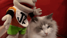 Sml Junior GIF - Sml Junior Petting Cat GIFs