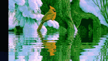 Good Morning Bird GIF - Good Morning Bird Water GIFs
