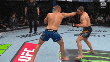 two men are fighting in a ufc ring and one of them is wearing a venum shorts