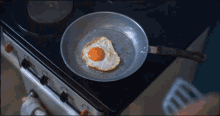 frying egg milky chance rush song fried egg egg for breakfast