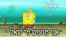 מישאל Who Asked GIF - מישאל Who Asked Hebrew GIFs