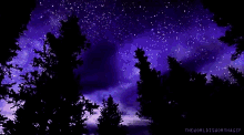 a purple night sky with trees in the foreground and the words the world is worth a gif at the bottom