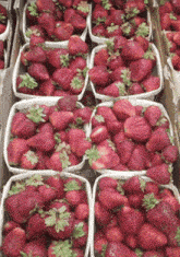 Strawberries Fruits GIF - Strawberries Fruits Strawberry GIFs