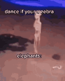 Dance If Your A Zebra Fr GIF - Dance If Your A Zebra Fr GIFs