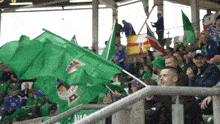 Crowd Cheering Northern Ireland GIF - Crowd Cheering Northern Ireland Fans Cheering GIFs