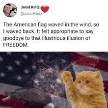 Freedom Cat GIF - Freedom Cat American Flag GIFs