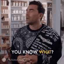 You Know What I Dont Have All The Answers Dan Levy GIF - You Know What I Dont Have All The Answers Dan Levy David GIFs