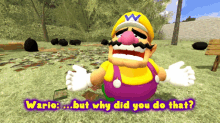 Smg4 Wario GIF - Smg4 Wario But Why Did You Do That GIFs