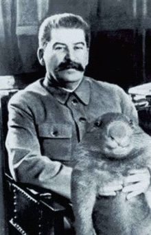 Stalin Beaver Beaver With Political Leader Stalin GIF - Stalin Beaver Beaver With Political Leader Stalin Naught Beaver GIFs