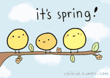 Spring Birds GIF - Spring Birds Its Spring GIFs