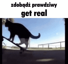 Get Real Cat GIF - Get Real Cat Skate GIFs