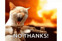 a cat is holding a gun in front of a fire and saying `` no thanks '' .