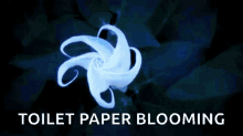 Flower Toilet Paper GIF - Flower Toilet Paper Blooming GIFs