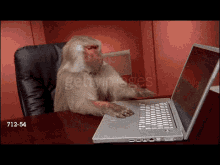 life is but a gif ph d life monkey busy office