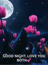 a picture of flowers with the words good night love you both on it