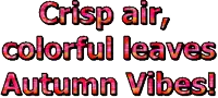 the words crisp air colorful leaves autumn vibes