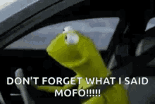 Kermit Say What GIF - Kermit Say What Dont Forget GIFs