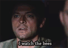 Bees Castiel GIF - Bees Castiel Spn GIFs