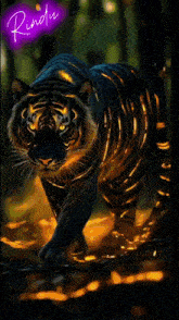 a painting of a tiger with the word rindu on the bottom