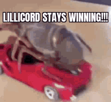 Lillicord Stays Winning GIF - Lillicord Stays Winning Winning GIFs