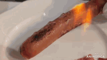 a sausage is being cooked on a white plate with a flame coming out of it ..