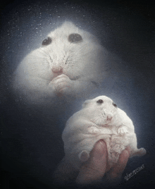 a picture of a hamster with the name glen meows on the bottom right