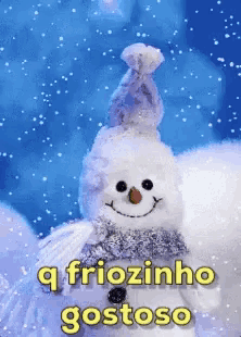 Friozinho / Friozinho Gostoso / Frio / Friaca / Inverno / Boneco