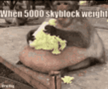 skyblock gamer