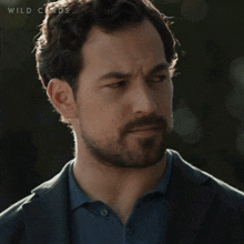 Irritated Cole Ellis GIF - Irritated Cole Ellis Wild Cards GIFs