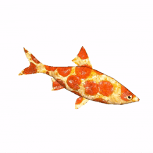 pizza fish spin spinning food