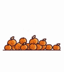 Svino Stikers Oranges GIF