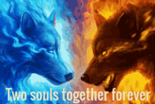 fire wolf and ice wolf