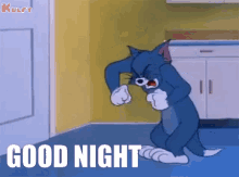 Good Night Tom And Jerry GIF - Good Night Tom And Jerry Gif GIFs