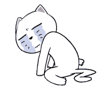 cat cry knees tears
