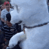 a man wearing a red hat stands next to a polar bear costume