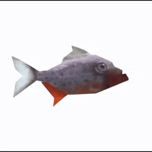a 3d model of a fish with an orange tail