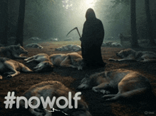 a grim reaper with a scythe surrounded by dead wolves