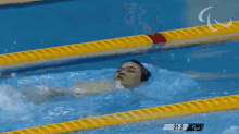swimming zheng tao international paralympic committee paralympics backstroke