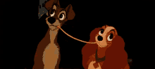 dog couple oops lady and the tramp accidental kiss