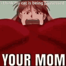 cat asuka asuka langely soryu your mom